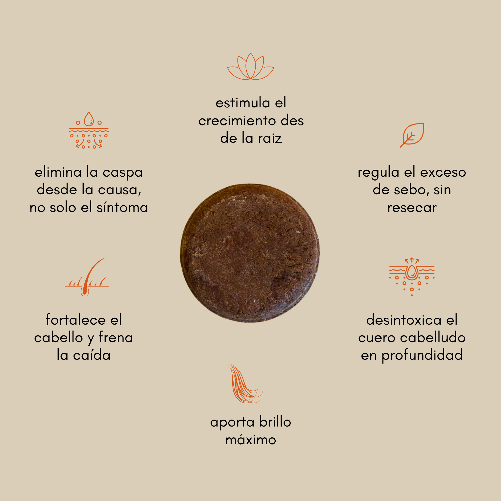 Set de Belleza Ancestral - El ritual completo para transformar piel y cabello desde la raíz