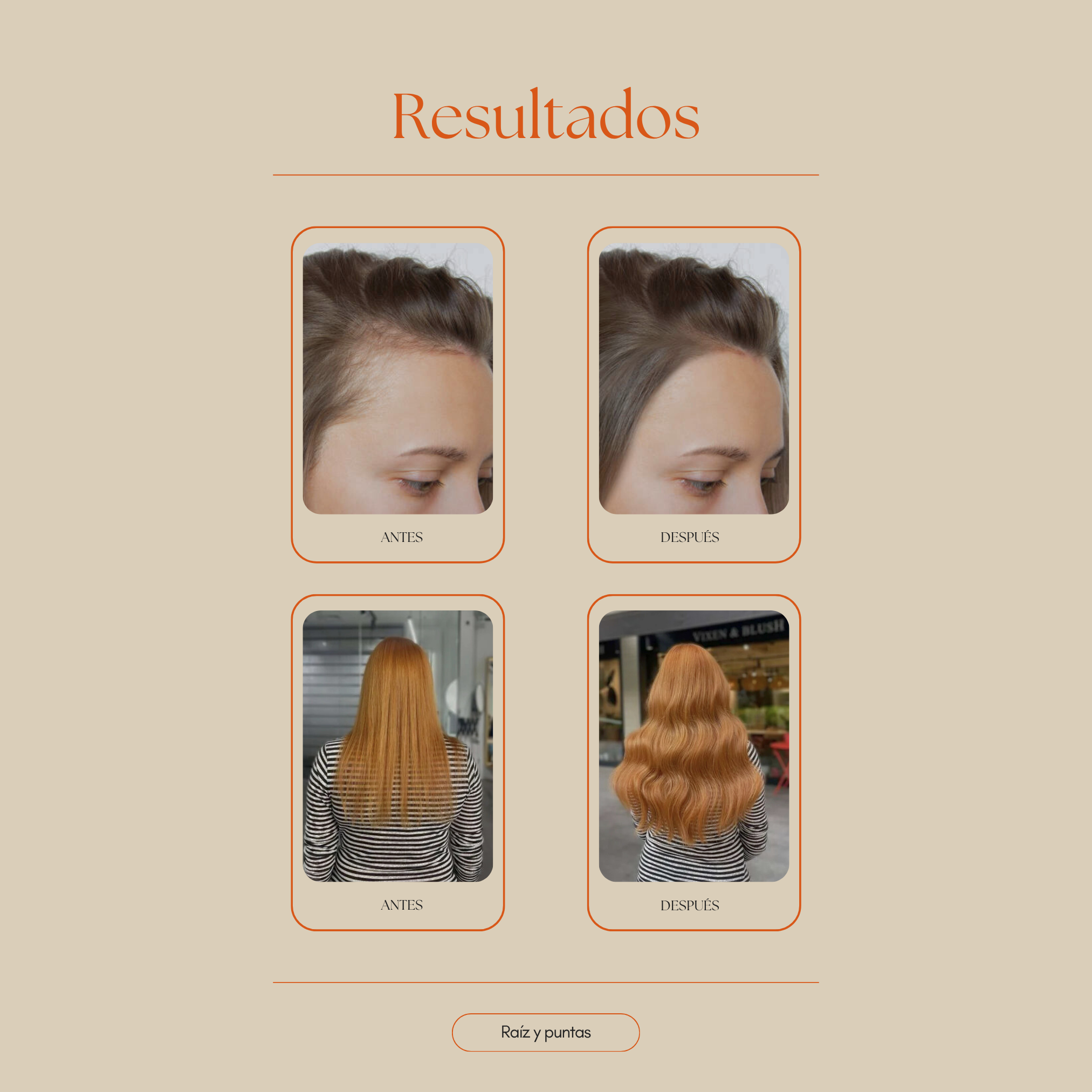 Champú Ayurvédico Shikakai - 4 plantas sagradas para revivir tu cabello