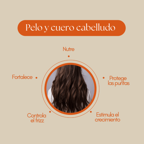 beneficios del champú sólido de shikakai nutre controla el frizz aporta brillo crece pelo Set Ritual de Belleza Ancestral