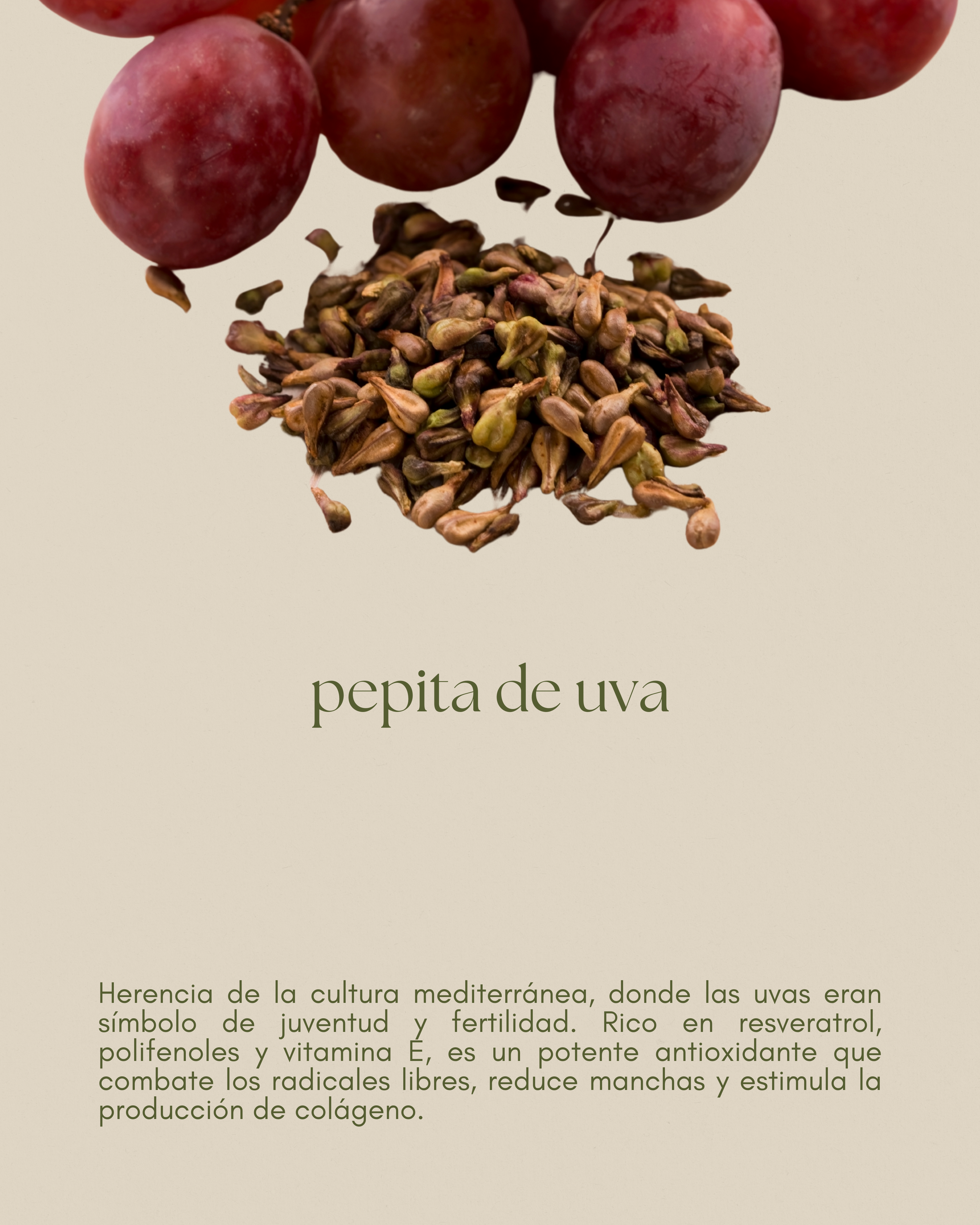 Aceite de pepita de uva, ligero y antioxidante, ayuda a mantener la piel firme