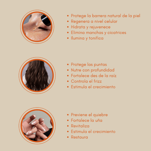 aceite elixir ancestral para piel rostro cabello y uñas cuidado completo Elixir Ancestral Aceite Multifunción 50ml