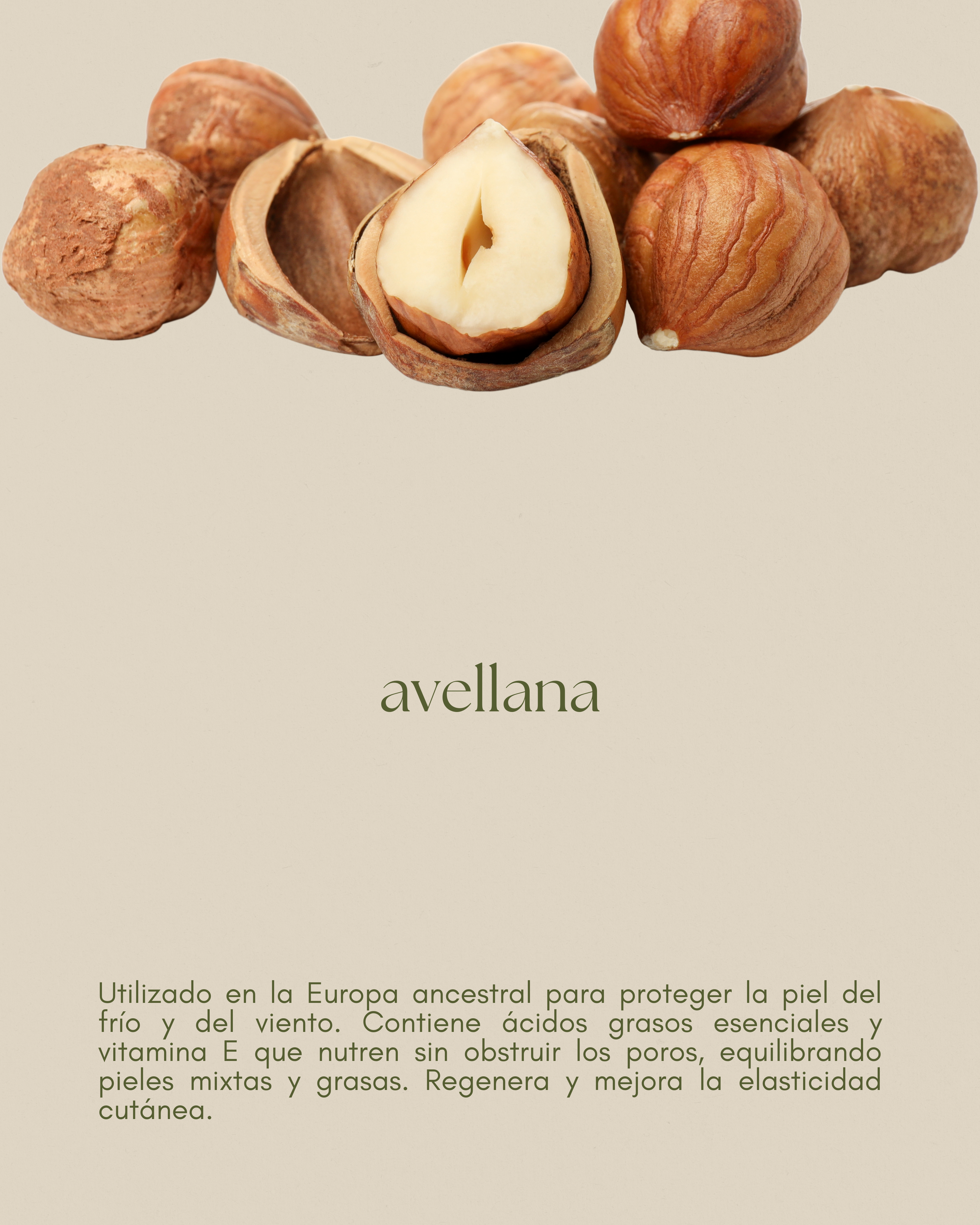 Aceite de avellana, equilibrante y protector, perfecto para piel mixta y cabello brillante.