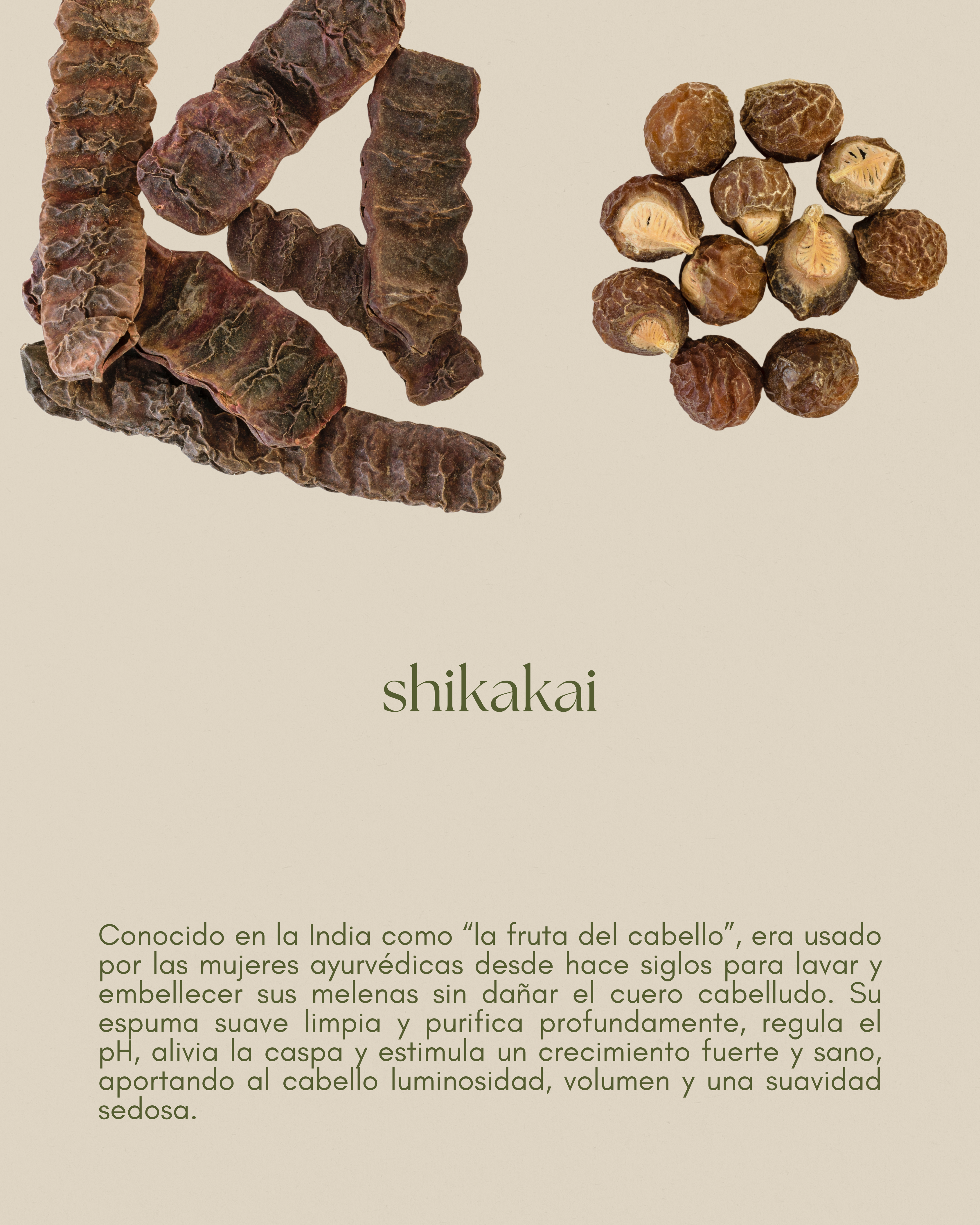 Shikakai, limpieza natural y fortalecimiento del cabello desde la raíz hasta las puntas.
