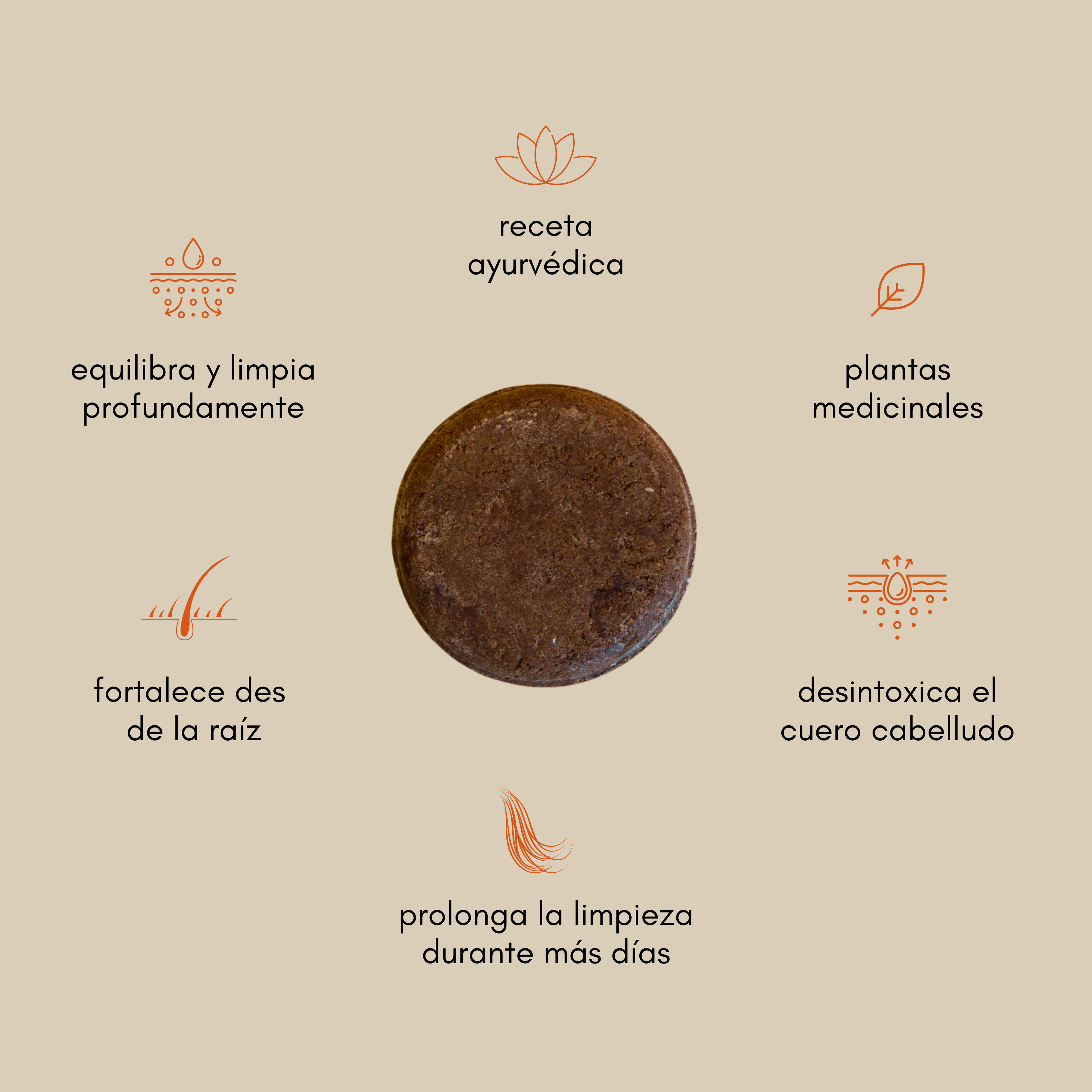 beneficios champú de shikakai equilibra fortalece estimula el crecimiento y desintoxica el cuero cabelludo Set Ritual de Belleza Ancestral