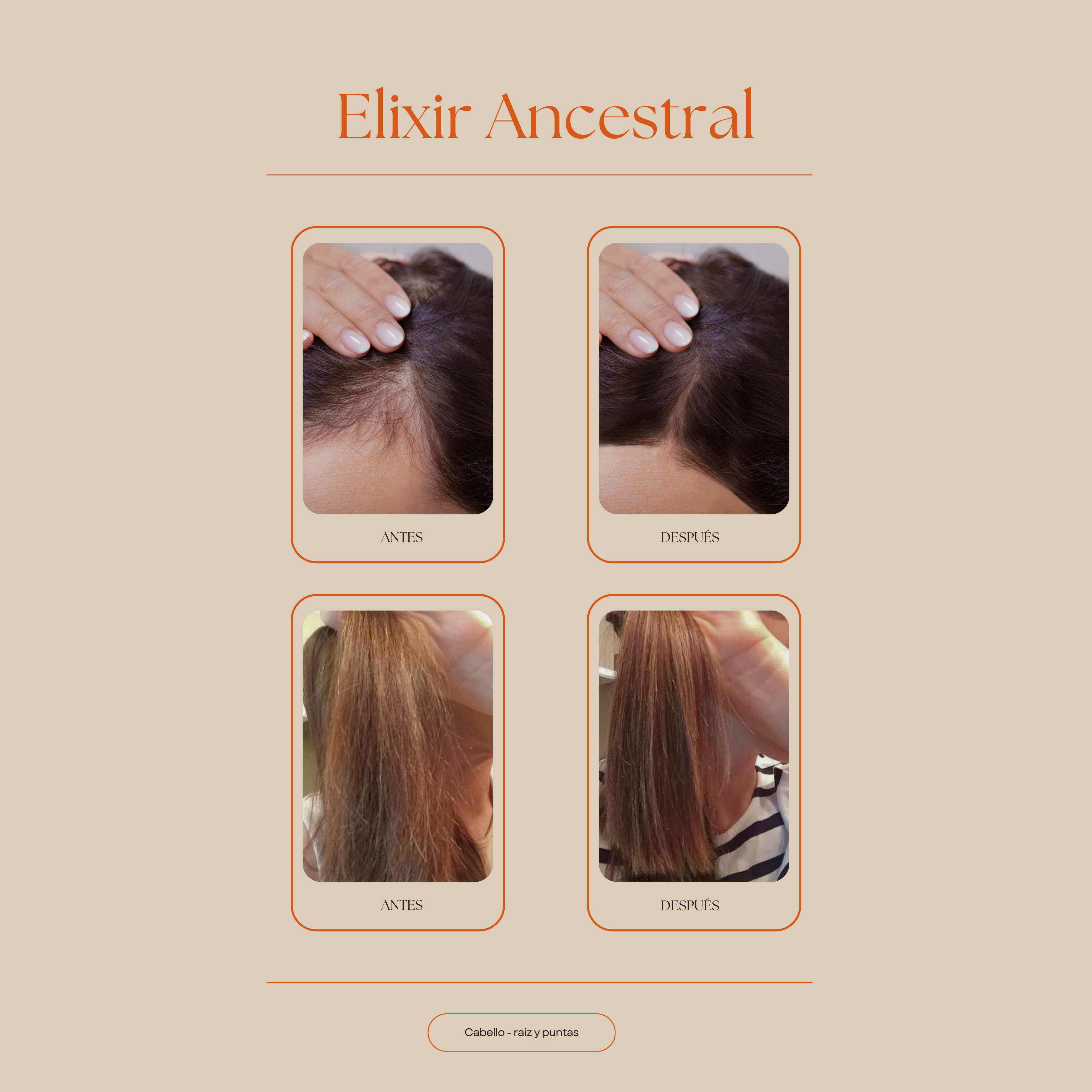 resultados antes y después usando el elixir ancestral en el cabello estimula el crecimiento hair oiling y repara las puntas abiertas protegiendo el pelo cabello más brillante y sano Set Ritual de Belleza Ancestral