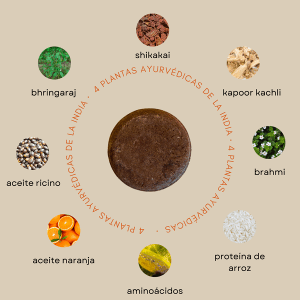 ingredientes ayurvédicos del champú sólido de shikakai con plantas de la india ancestrales Set Ritual de Belleza Ancestral