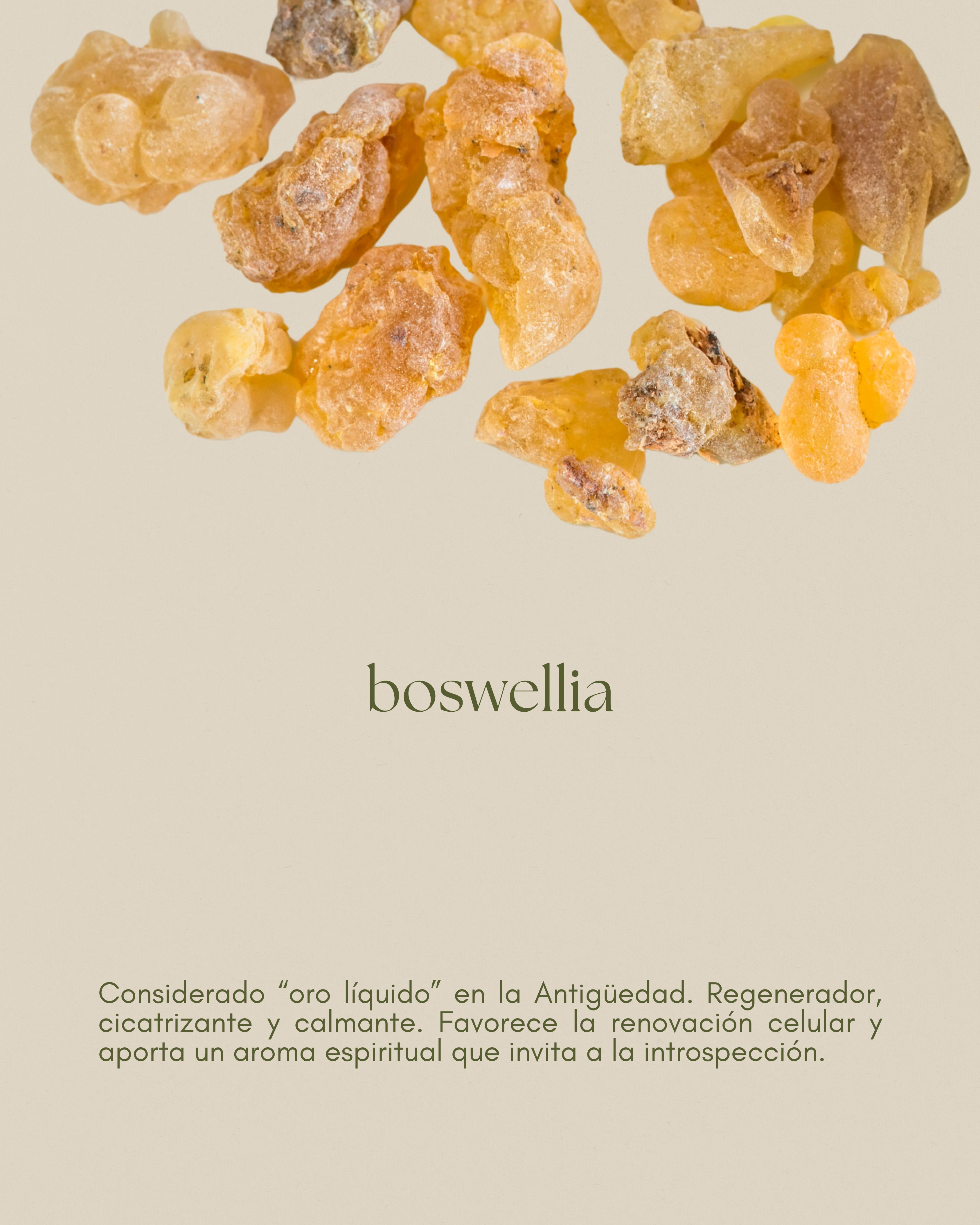 Aceite esencial de incienso boswellia, con propiedades calmantes y antinflamatorias para la piel sensible.