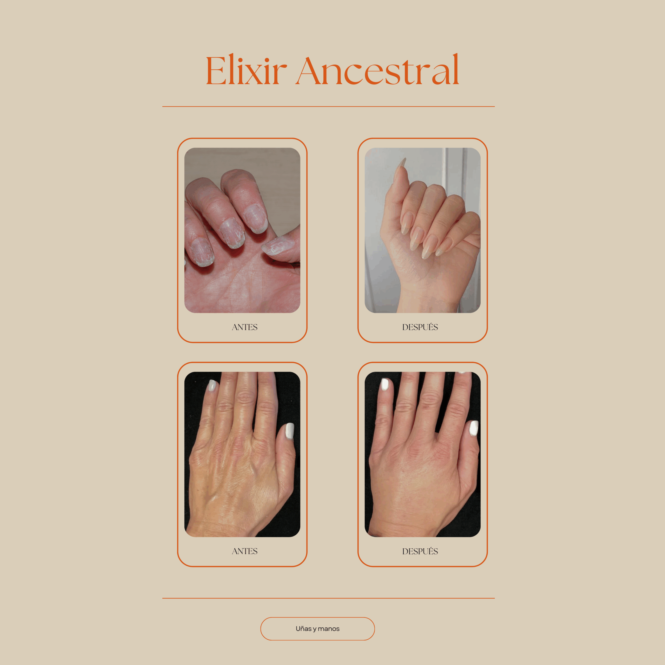 resultados visibles del elixir ancestral en las manos y uñas. reduce las arrigas alisa la piel y ayuda a las uñas crecer largas y más rápido y fuertes con vitamina E Set Ritual de Belleza Ancestral