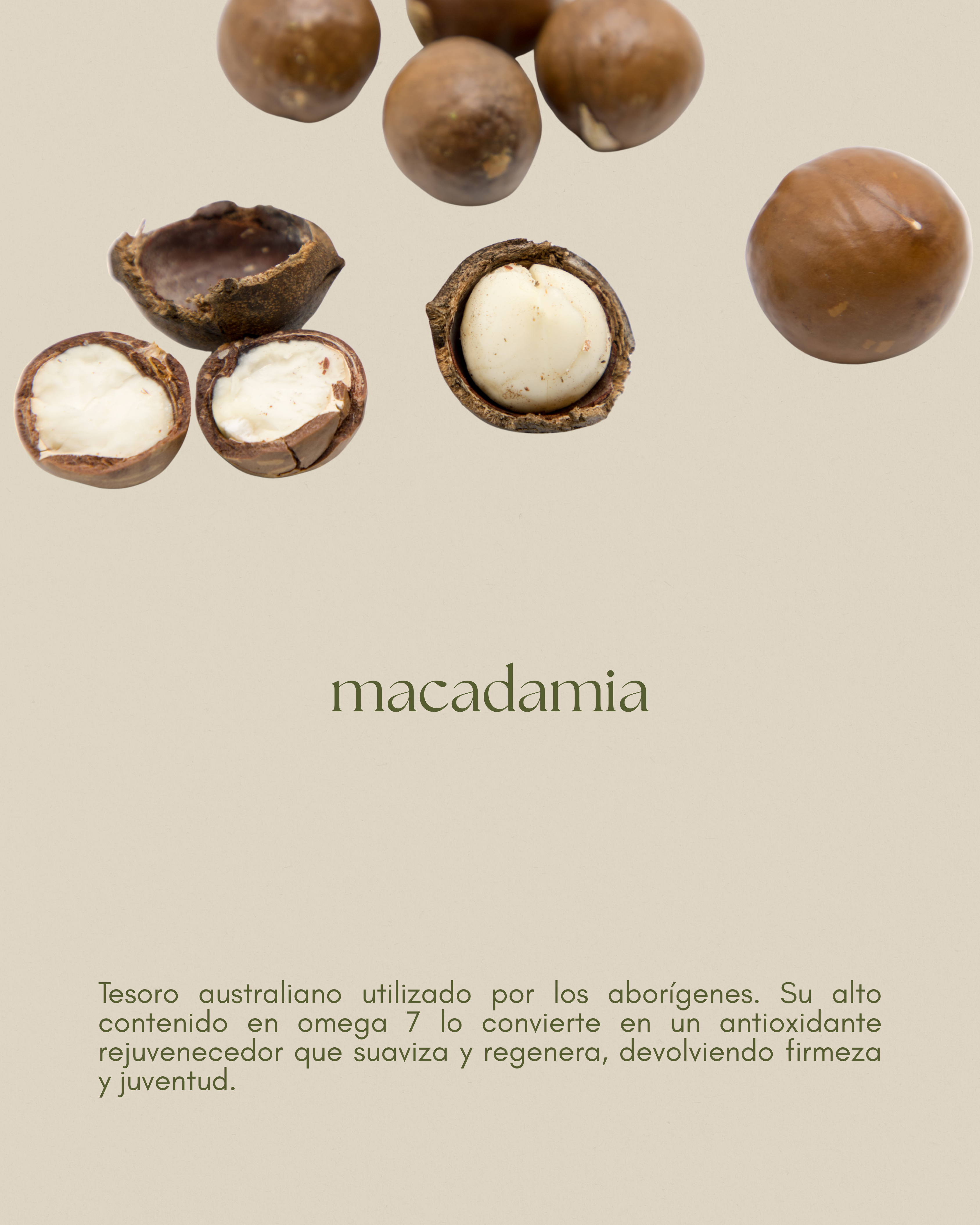 Aceite de macadamia, hidratante y suavizante para piel seca y cabello quebradizo