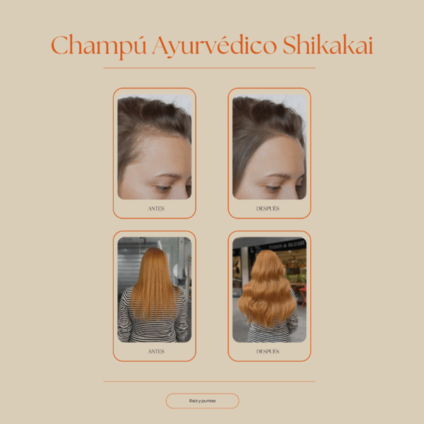 champú sólido de shikakai antes y después reduce la caída y deja el pelo brillante y voluminoso Set Ritual de Belleza Ancestral