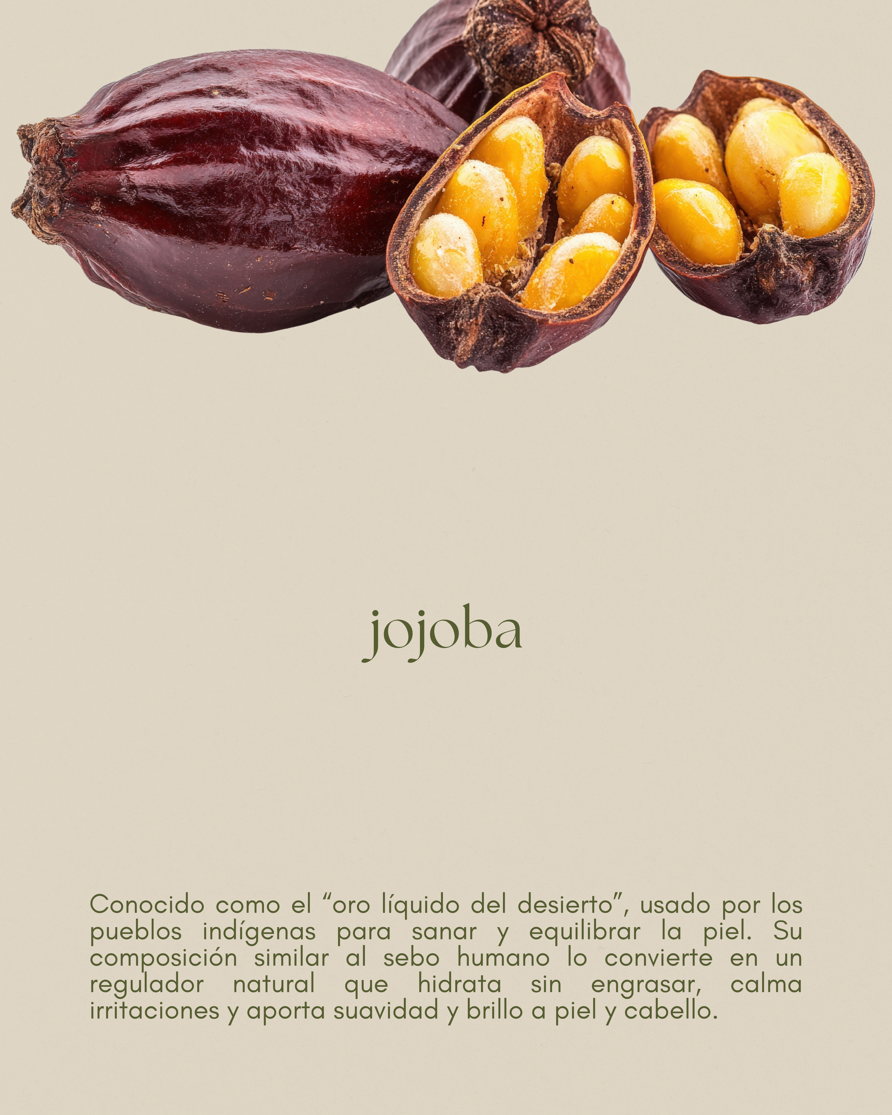 Aceite de jojoba, equilibrante y nutritivo para una piel radiante y cabello saludable.