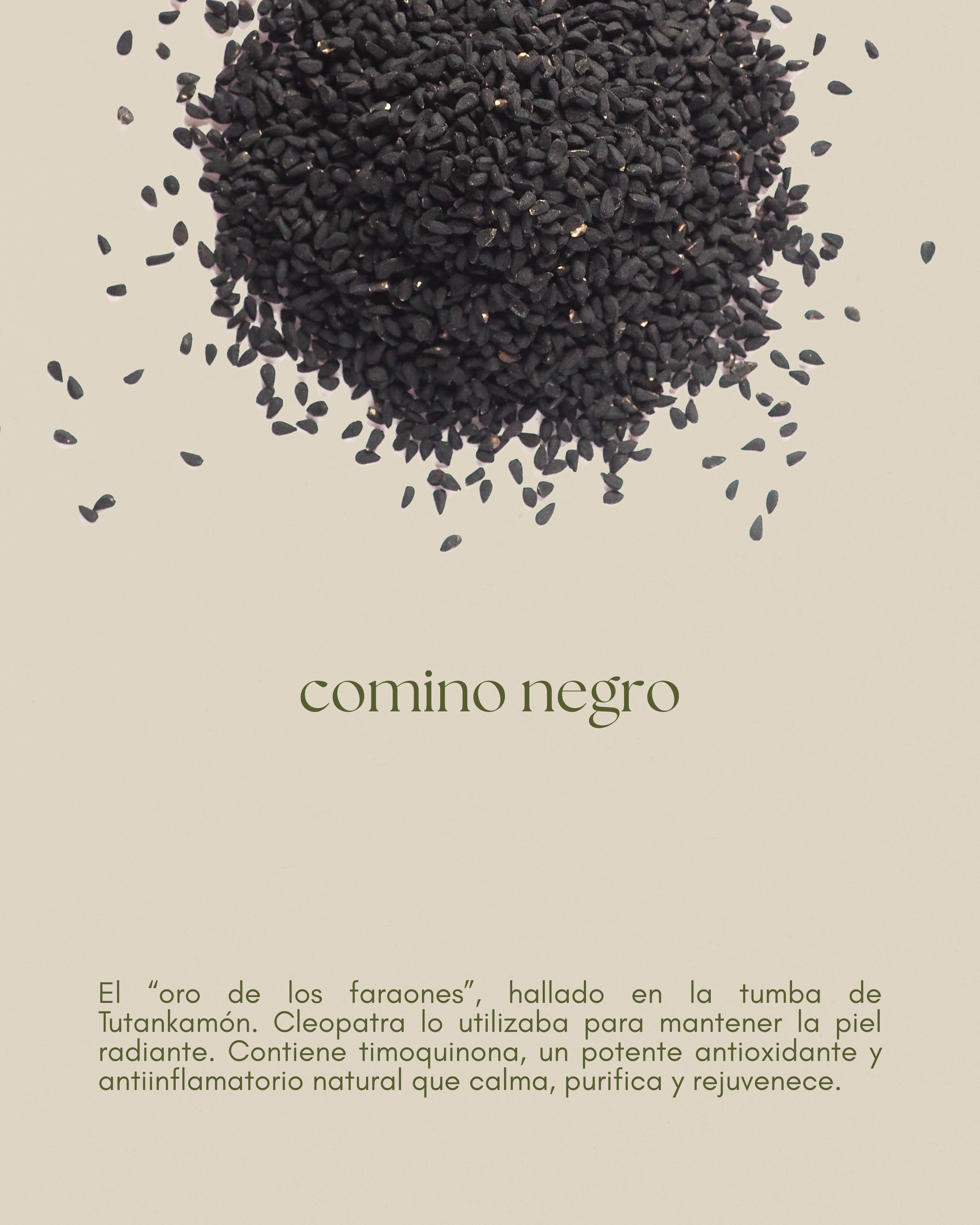 Aceite de comino negro, antioxidante y revitalizante, para una piel protegida y luminosa