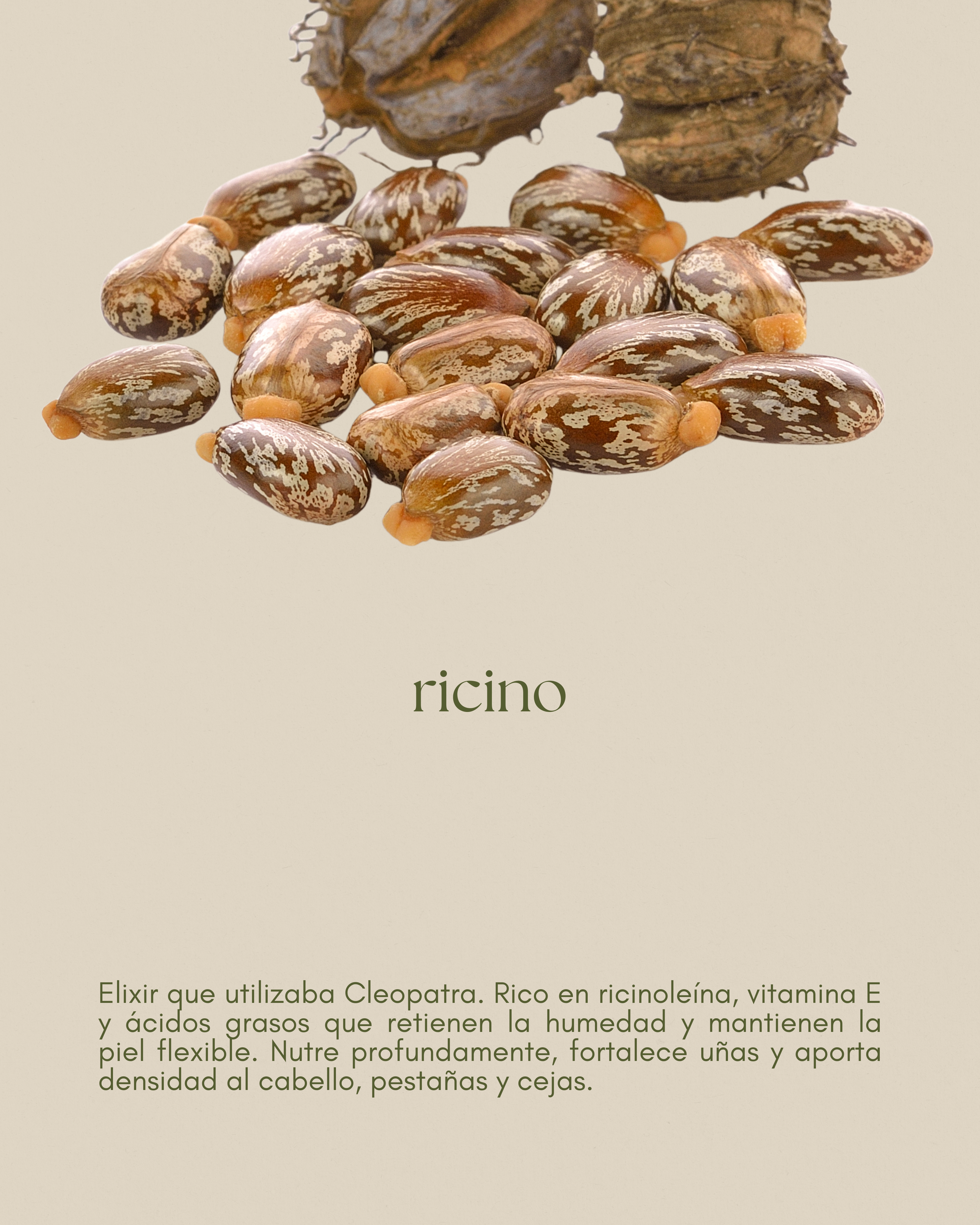 Aceite de ricino, fortalecedor de cabello y pestañas, también nutre la piel seca