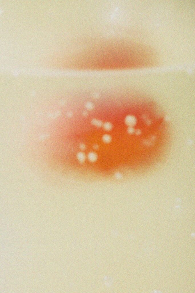 A red and orange blob with white spots.